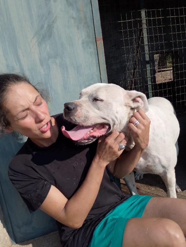 💔 OPI: Una vita in attesa di amore 💔 Foto 6